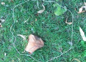 Sensory Circle
