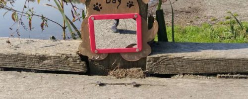 Dawg of the Day: Every good pup!