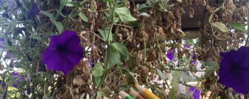 Garden Works