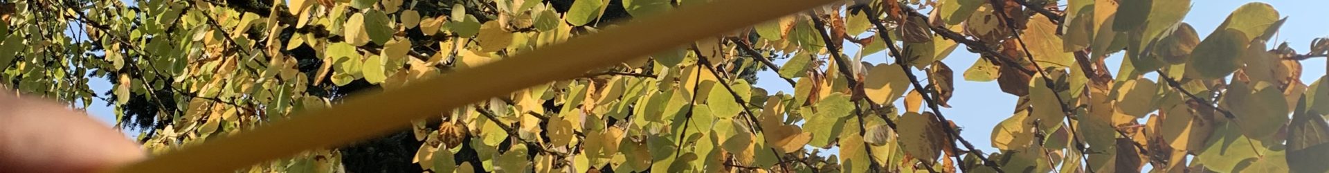 Finding colours in nature