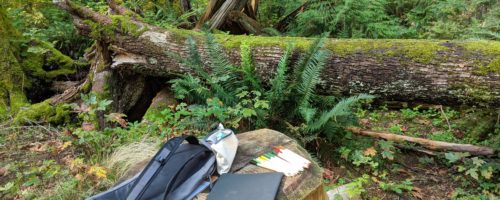 My Outdoor Learning Experience